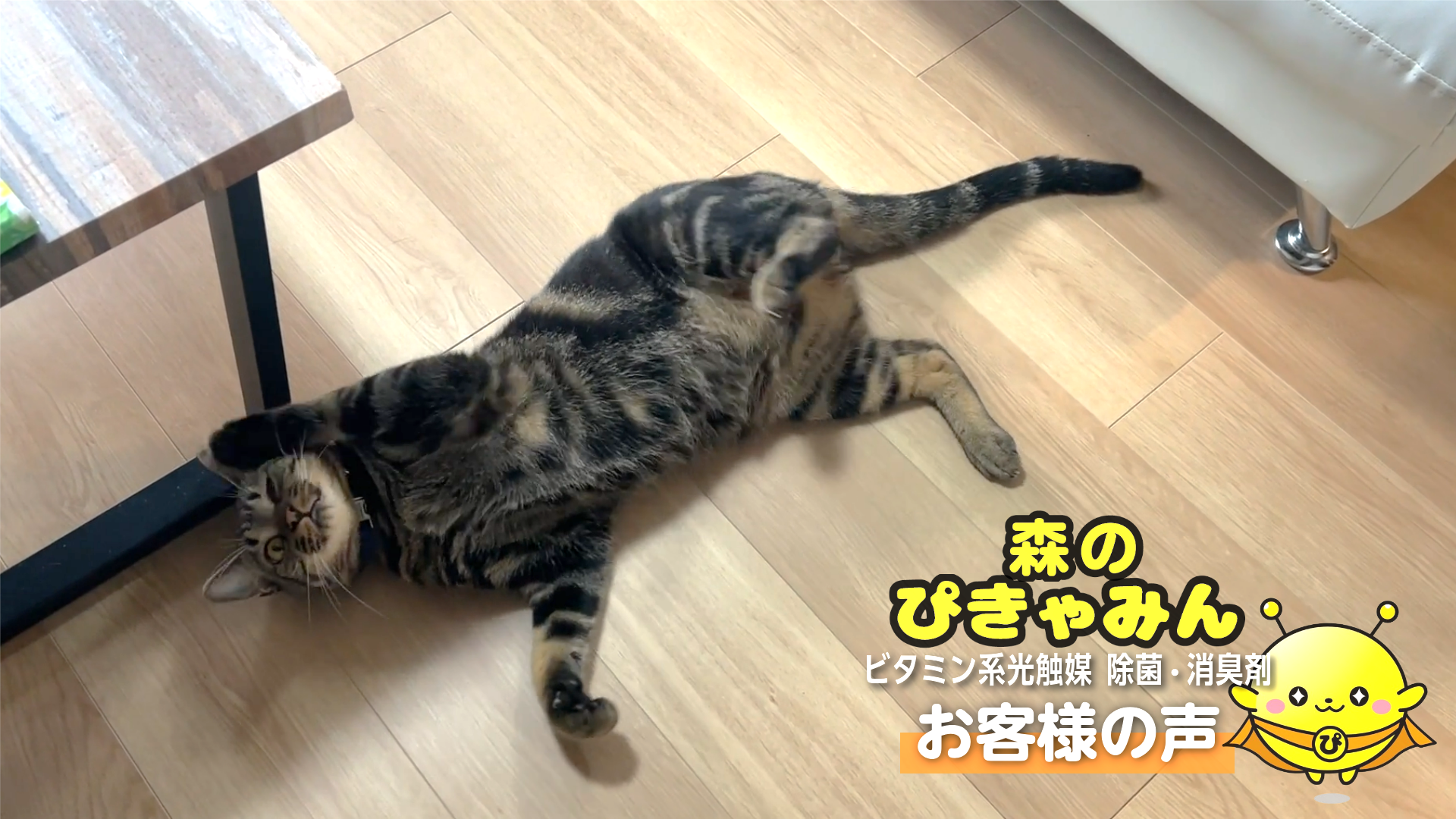 サムネイル20260109 (1)